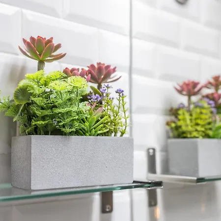 Sunshine Apartment *